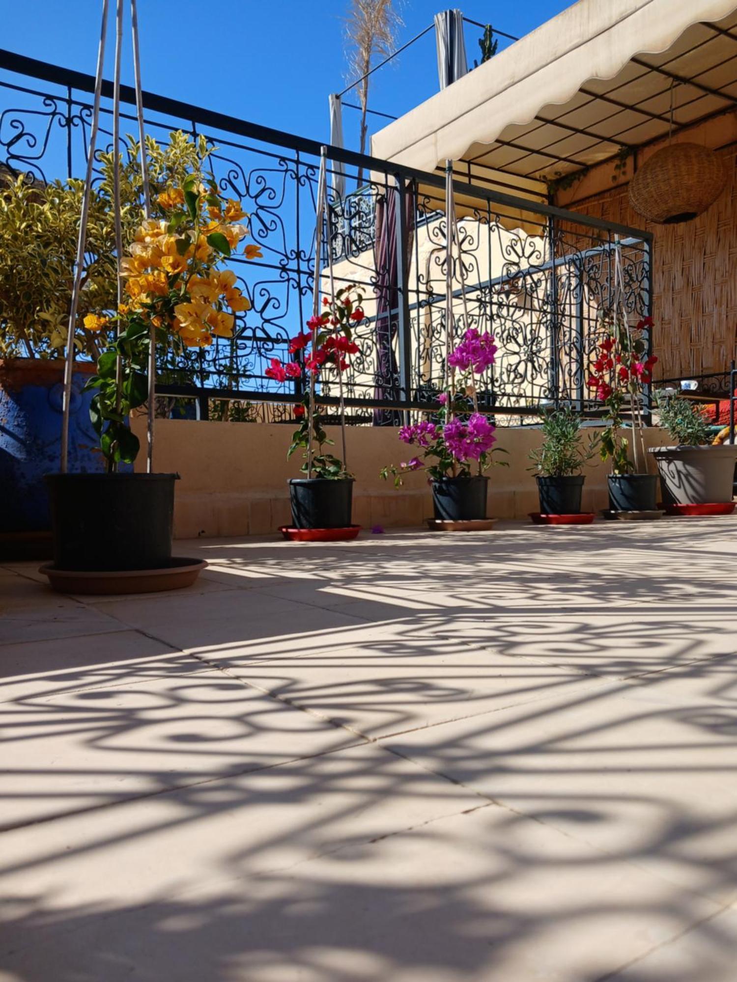 Riad Dantella Marrakesh Eksteriør billede
