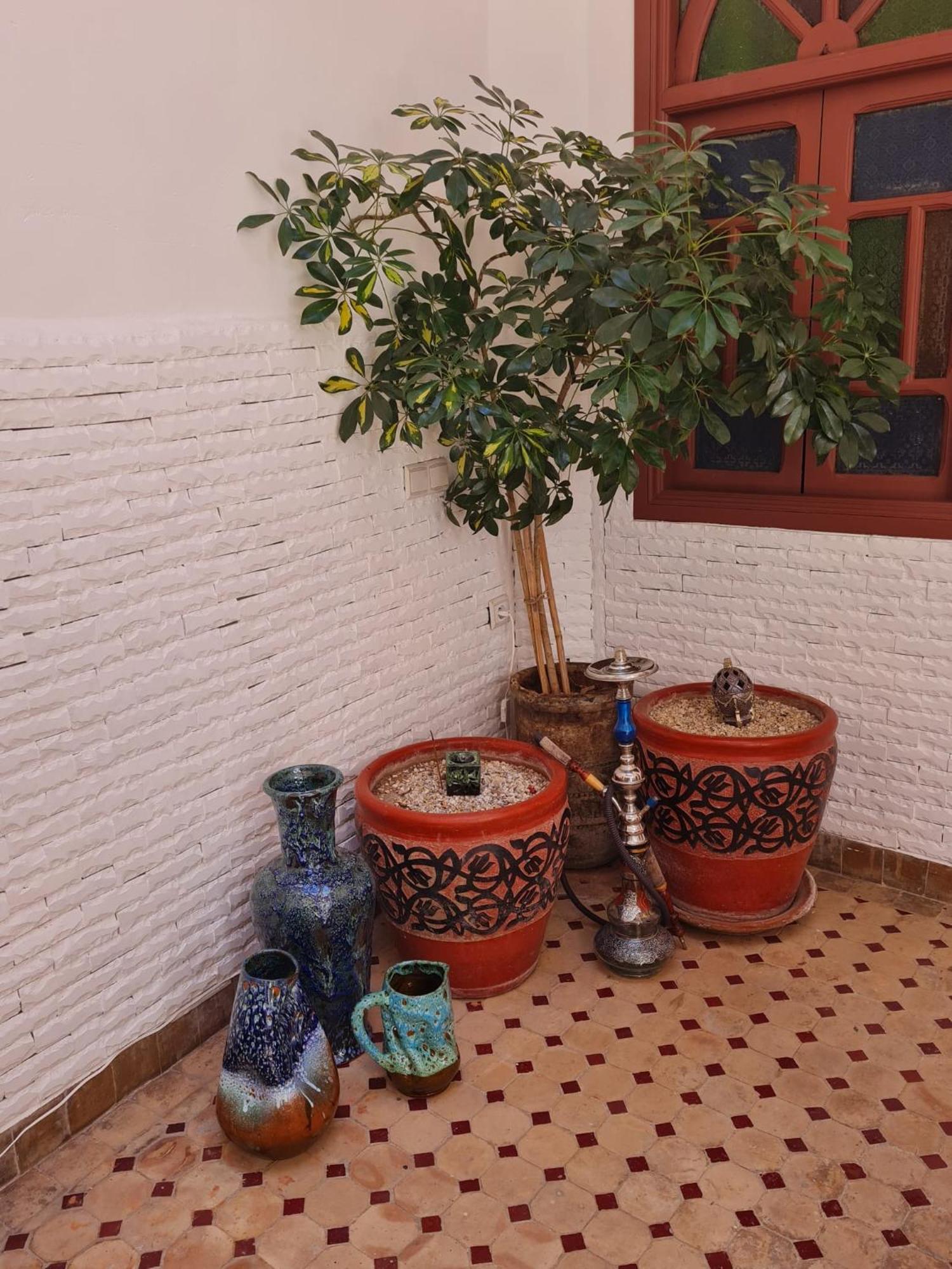 Riad Dantella Marrakesh Eksteriør billede
